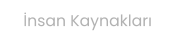 İnsan Kaynakları