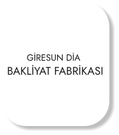 GİRESUN DİA BAKLİYAT FABRİKASI